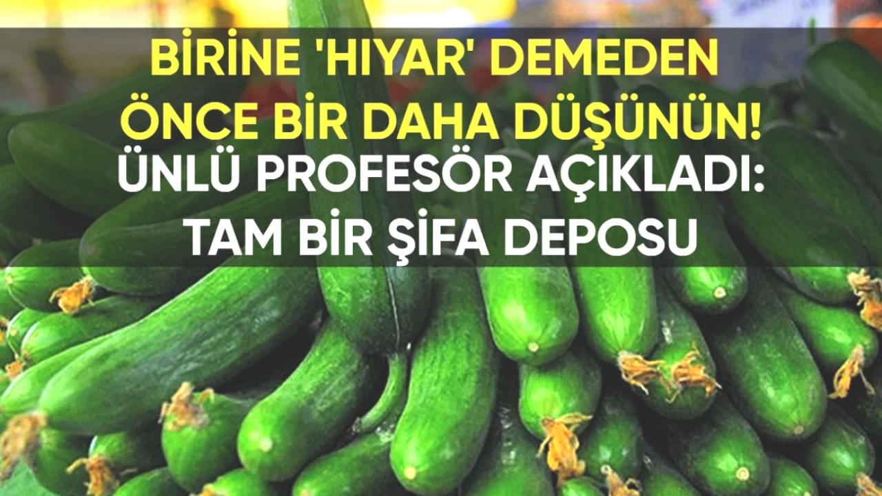 ‘Hıyar’ Demeden Önce Düşünün! Ünlü Profesör Açıklıyor: Faydalarıyla Dolu Şifa Kaynağı!